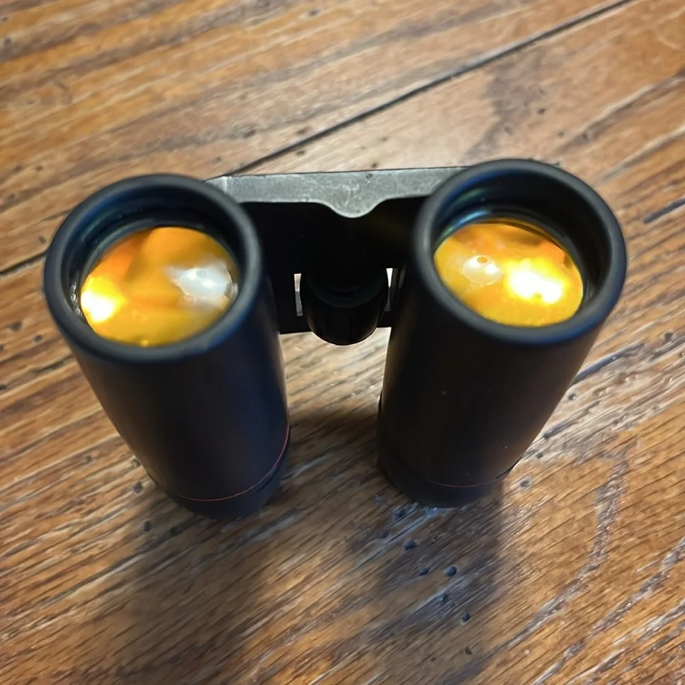 Compact Black 12x25 Binoculars